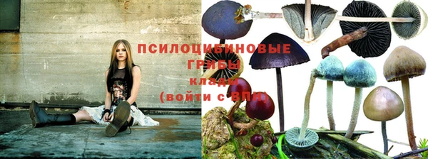 стаф Лихославль